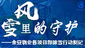 风雪里的守护 ——金安物业各项目部除雪行动侧记